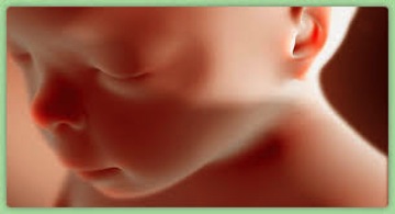 www.thecatholicthing.org_images_unborn_child