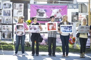 Animal-rights protestors [Toronto Sun]