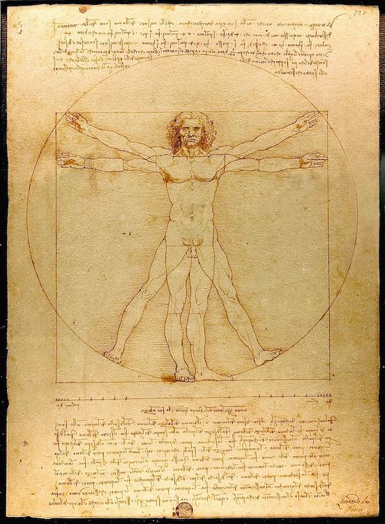 Vitruvian Man by Leonardo Da Vinci, c. 1490 [Gallerie dell'Accademia, Venice]