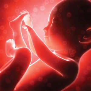 Foetus_abortion