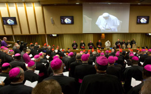 Synod-Bishops-Session