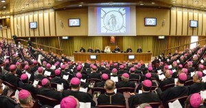 Francis and the Synod fathers in 2014